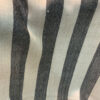Pure Pashmina Muffler With Black And White Stripes